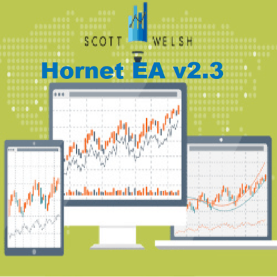 Hornet EA v2.3 Unlimited MT4