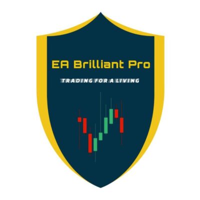 EA Brilliant Pro 4.1