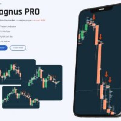 Magnus PRO Indicator Price And Volume